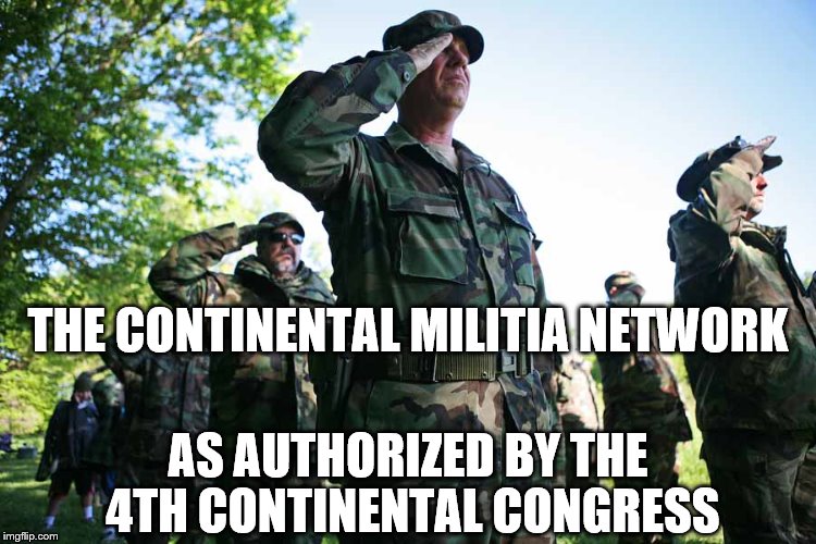Militiamen Salute | THE CONTINENTAL MILITIA NETWORK AS AUTHORIZED BY THE 4TH CONTINENTAL CONGRESS | image tagged in militiamen salute | made w/ Imgflip meme maker