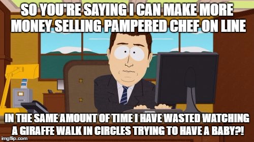 Aaaaand Its Gone | SO YOU'RE SAYING I CAN MAKE MORE MONEY SELLING PAMPERED CHEF ON LINE; IN THE SAME AMOUNT OF TIME I HAVE WASTED WATCHING A GIRAFFE WALK IN CIRCLES TRYING TO HAVE A BABY?! | image tagged in memes,aaaaand its gone | made w/ Imgflip meme maker