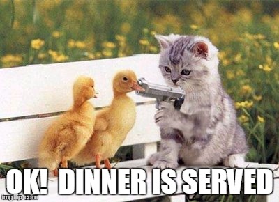 tell me | OK!  DINNER IS SERVED | image tagged in captain obvious | made w/ Imgflip meme maker