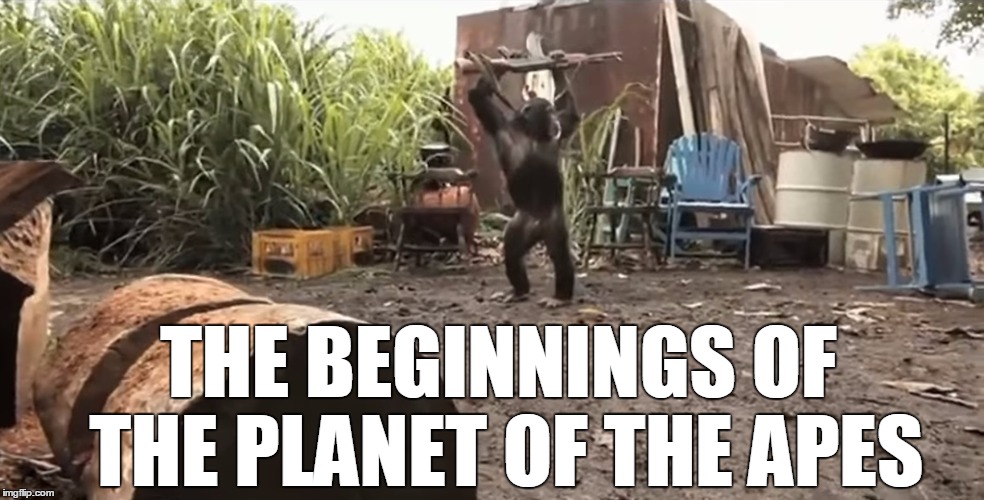 wtf is a charlton heston  | THE BEGINNINGS OF THE PLANET OF THE APES | image tagged in when animals attack,planet of the apes,memes,guns,apes | made w/ Imgflip meme maker