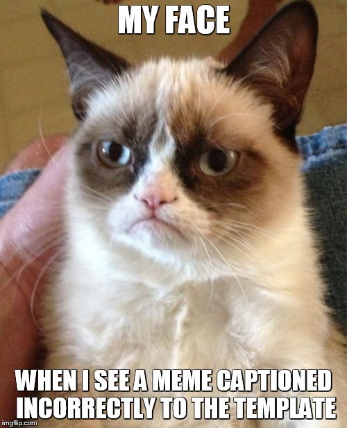 Grumpy Cat | MY FACE; WHEN I SEE A MEME CAPTIONED INCORRECTLY TO THE TEMPLATE | image tagged in memes,grumpy cat | made w/ Imgflip meme maker