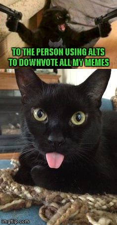 The more time you spend on me is less time you spend harassing other users so I guess that's a good thing. | TO THE PERSON USING ALTS TO DOWNVOTE ALL MY MEMES | image tagged in cat with guns,memes,cats,downvoting,mods can't seem to handle the problem,alt accounts | made w/ Imgflip meme maker