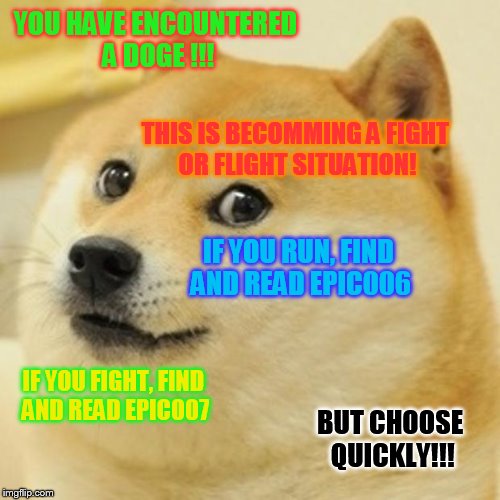 epic003 | YOU HAVE ENCOUNTERED A DOGE !!! THIS IS BECOMMING A FIGHT OR FLIGHT SITUATION! IF YOU RUN, FIND AND READ EPIC006; IF YOU FIGHT, FIND AND READ EPIC007; BUT CHOOSE QUICKLY!!! | image tagged in memes,doge,adventure game | made w/ Imgflip meme maker