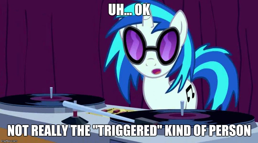 UH... OK NOT REALLY THE "TRIGGERED" KIND OF PERSON | made w/ Imgflip meme maker