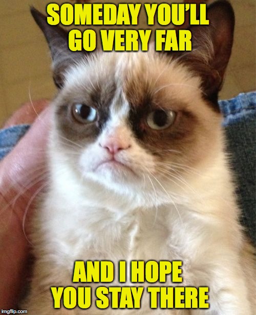A Grumpy’s Wish | SOMEDAY YOU’LL GO VERY FAR; AND I HOPE YOU STAY THERE | image tagged in memes,grumpy cat | made w/ Imgflip meme maker