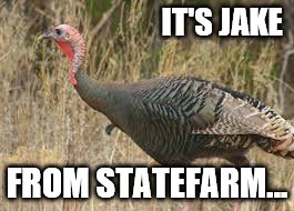 It's Jake from Statefarm | IT'S JAKE; FROM STATEFARM... | image tagged in wild turkey | made w/ Imgflip meme maker