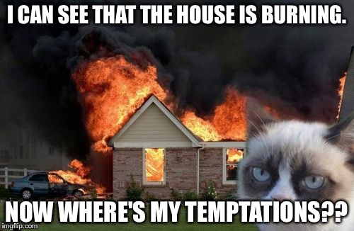 Burn Kitty | I CAN SEE THAT THE HOUSE IS BURNING. NOW WHERE'S MY TEMPTATIONS?? | image tagged in memes,burn kitty,grumpy cat | made w/ Imgflip meme maker