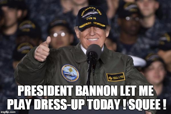 PRESIDENT BANNON LET ME PLAY DRESS-UP TODAY ! SQUEE ! | image tagged in politics | made w/ Imgflip meme maker