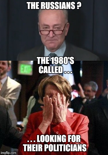 We have bigger fish to fry now | THE RUSSIANS ? THE 1980'S CALLED . . . . . . LOOKING FOR THEIR POLITICIANS | image tagged in special kind of stupid | made w/ Imgflip meme maker