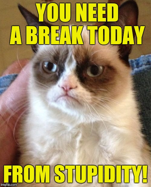 Grumpy Cat | YOU NEED A BREAK TODAY; FROM STUPIDITY! | image tagged in memes,grumpy cat | made w/ Imgflip meme maker