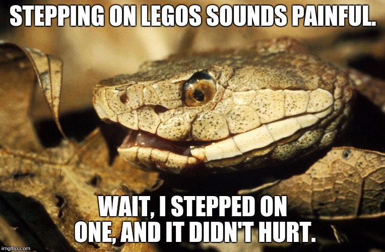I stepped on legos, and they don't hurt. pansy... | STEPPING ON LEGOS SOUNDS PAINFUL. WAIT, I STEPPED ON ONE, AND IT DIDN'T HURT. | image tagged in realisation snake,lego week,snake,realisation | made w/ Imgflip meme maker