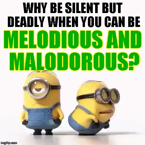 In the words of Ben Franklin... FART PROUDLY! (p.s. Let's keep the humor low-brow, people! Stay away from class!) | WHY BE SILENT BUT DEADLY WHEN YOU CAN BE; MELODIOUS AND MALODOROUS? | image tagged in minions fart,memes,silent but deadly,low-brow | made w/ Imgflip meme maker
