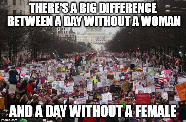 THERE'S A BIG DIFFERENCE BETWEEN A DAY WITHOUT A WOMAN; AND A DAY WITHOUT A FEMALE | image tagged in woman women female march 8 3/8 8th | made w/ Imgflip meme maker