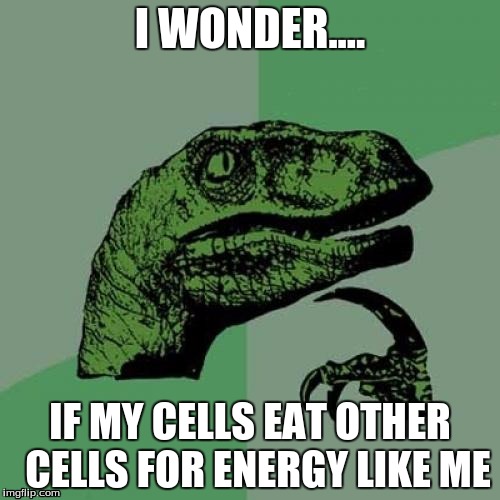 Philosoraptor | I WONDER.... IF MY CELLS EAT OTHER  CELLS FOR ENERGY LIKE ME | image tagged in memes,philosoraptor | made w/ Imgflip meme maker