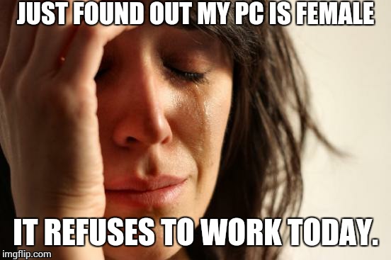 First World Problems Meme | JUST FOUND OUT MY PC IS FEMALE; IT REFUSES TO WORK TODAY. | image tagged in memes,first world problems | made w/ Imgflip meme maker