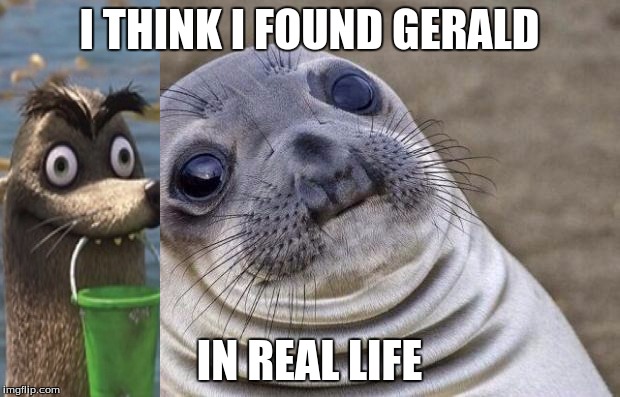 Awkward Moment Sealion Meme | I THINK I FOUND GERALD; IN REAL LIFE | image tagged in memes,awkward moment sealion | made w/ Imgflip meme maker