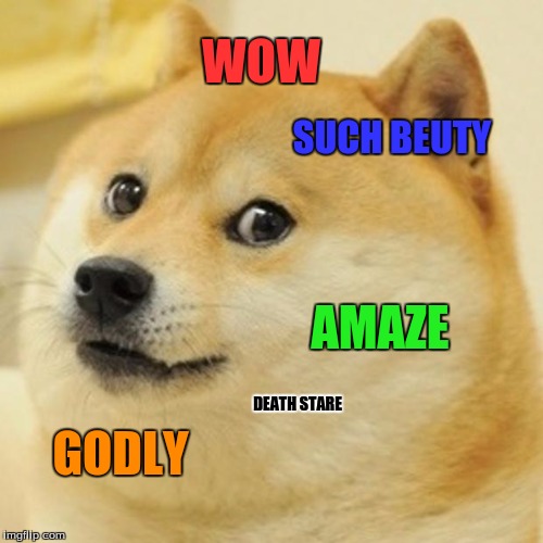 Doge | WOW; SUCH BEUTY; AMAZE; DEATH STARE; GODLY | image tagged in memes,doge | made w/ Imgflip meme maker
