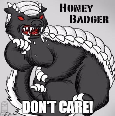 DON'T CARE! | image tagged in dire honey badger | made w/ Imgflip meme maker