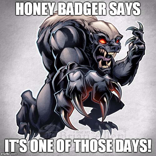 HONEY BADGER SAYS; IT'S ONE OF THOSE DAYS! | image tagged in honey badger on roids | made w/ Imgflip meme maker