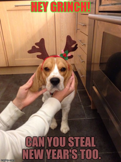 Grumpy Beagle Hates Christmas | HEY GRINCH! CAN YOU STEAL NEW YEAR'S TOO. | image tagged in grumpy beagle hates christmas | made w/ Imgflip meme maker