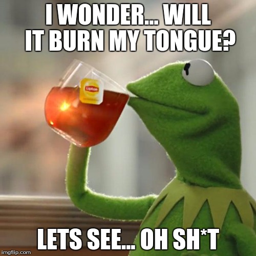 But That's None Of My Business Meme | I WONDER... WILL IT BURN MY TONGUE? LETS SEE... OH SH*T | image tagged in memes,but thats none of my business,kermit the frog | made w/ Imgflip meme maker