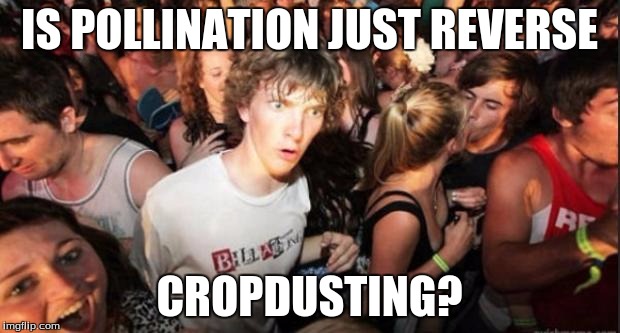 Sudden Realisation Studenr | IS POLLINATION JUST REVERSE; CROPDUSTING? | image tagged in sudden realisation studenr | made w/ Imgflip meme maker
