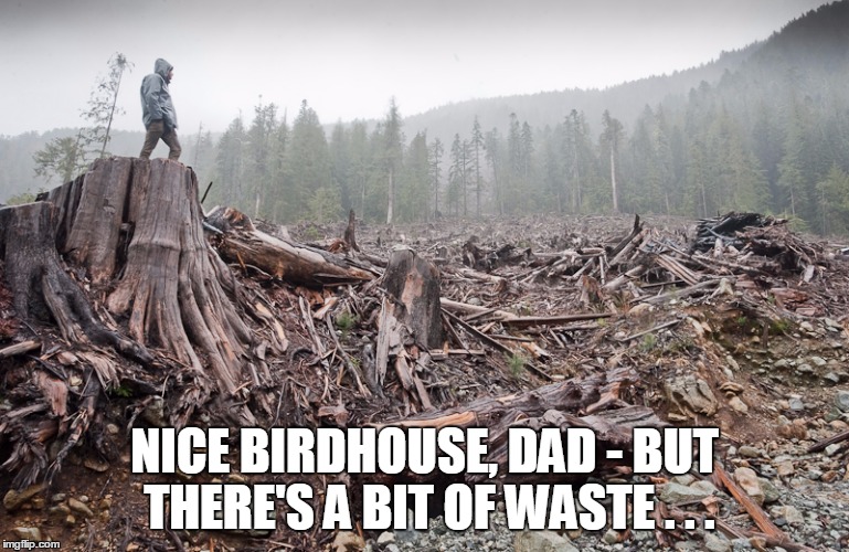 NICE BIRDHOUSE, DAD - BUT THERE'S A BIT OF WASTE . . . | made w/ Imgflip meme maker