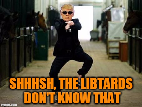 Trump Gangnam Style | SHHHSH, THE LIBTARDS DON'T KNOW THAT | image tagged in trump gangnam style | made w/ Imgflip meme maker