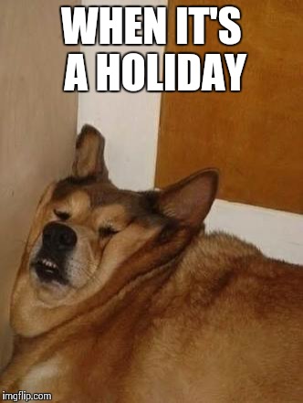 Fatazz woofers | WHEN IT'S A HOLIDAY | image tagged in fat,woofers,dogs,sleeping | made w/ Imgflip meme maker