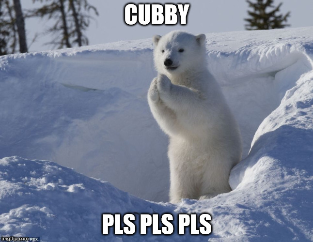 Pleading polar bear cub  | CUBBY; PLS PLS PLS | image tagged in pleading polar bear cub | made w/ Imgflip meme maker