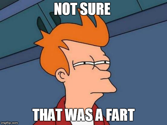 ...waiting for the answer | NOT SURE; THAT WAS A FART | image tagged in memes,futurama fry | made w/ Imgflip meme maker