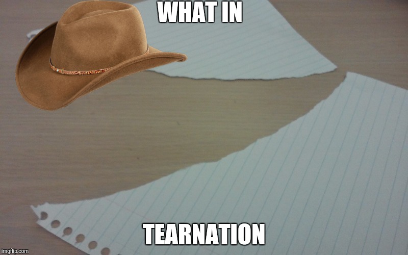 Figured I'd get in on the bandwagon... | WHAT IN; TEARNATION | image tagged in what in tarnation,what in tarnation week | made w/ Imgflip meme maker