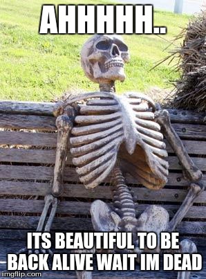 Waiting Skeleton | AHHHHH.. ITS BEAUTIFUL TO BE BACK ALIVE WAIT IM DEAD | image tagged in memes,waiting skeleton | made w/ Imgflip meme maker