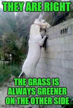 white ass | THEY ARE RIGHT THE GRASS IS ALWAYS GREENER ON THE OTHER SIDE | image tagged in white ass | made w/ Imgflip meme maker