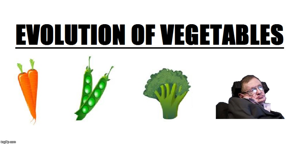Evolution Of Vegetables | image tagged in vegetables,steven hawking,evolution | made w/ Imgflip meme maker
