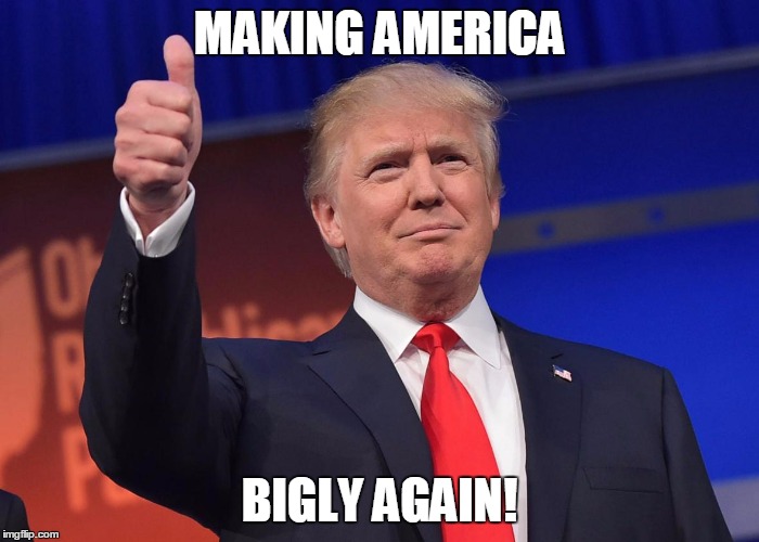 donald trump | MAKING AMERICA; BIGLY AGAIN! | image tagged in donald trump | made w/ Imgflip meme maker