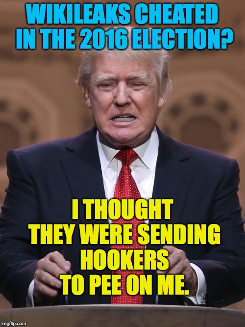 Donald Trump | WIKILEAKS CHEATED IN THE 2016 ELECTION? I THOUGHT THEY WERE SENDING HOOKERS TO PEE ON ME. | image tagged in donald trump | made w/ Imgflip meme maker