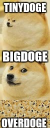 Three types of Doge. | TINYDOGE; BIGDOGE; OVERDOGE | image tagged in doge,variation | made w/ Imgflip meme maker