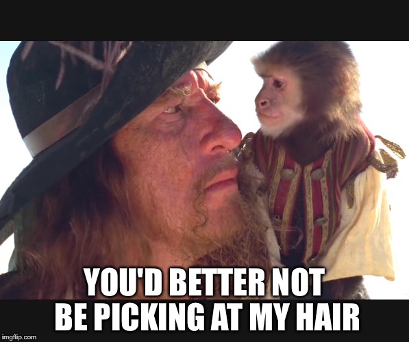 YOU'D BETTER NOT BE PICKING AT MY HAIR | image tagged in memes | made w/ Imgflip meme maker