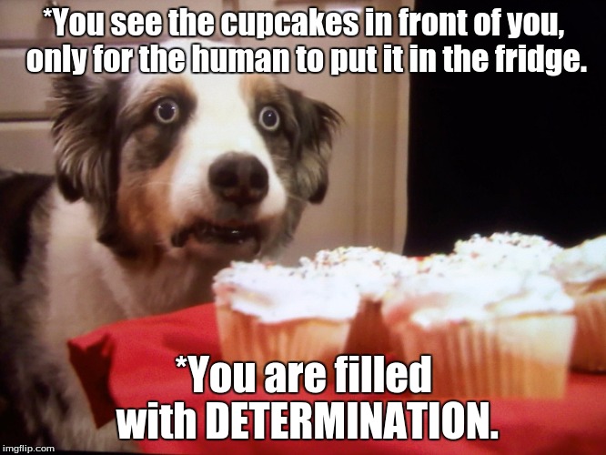 Undertale reference.  |  *You see the cupcakes in front of you, only for the human to put it in the fridge. *You are filled with DETERMINATION. | image tagged in cupcake dog | made w/ Imgflip meme maker