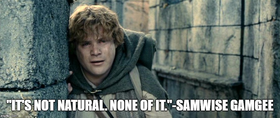 Me when I get out of bed:  | "IT'S NOT NATURAL. NONE OF IT."-SAMWISE GAMGEE | image tagged in lord of the rings,the lord of the rings | made w/ Imgflip meme maker