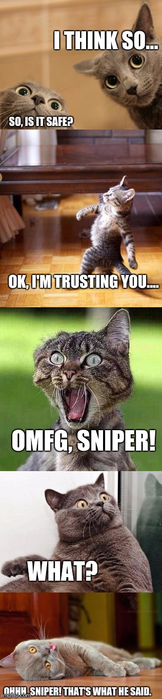 This is one I have been wishing to do for a while now, so here it is! | I THINK SO... SO, IS IT SAFE? OK, I'M TRUSTING YOU.... OMFG, SNIPER! WHAT? OHHH, SNIPER! THAT'S WHAT HE SAID. | image tagged in war,cats,suprise | made w/ Imgflip meme maker