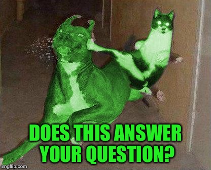 RayCat kicking RayDog | DOES THIS ANSWER YOUR QUESTION? | image tagged in raycat kicking raydog | made w/ Imgflip meme maker
