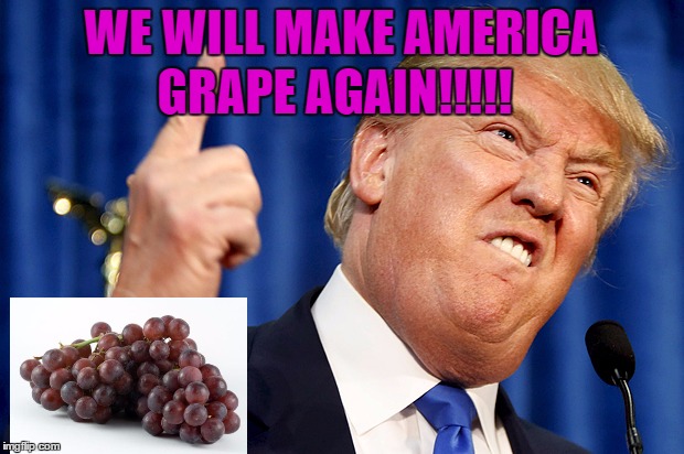 That's grape-y | GRAPE AGAIN!!!!! WE WILL MAKE AMERICA | image tagged in donald trump | made w/ Imgflip meme maker