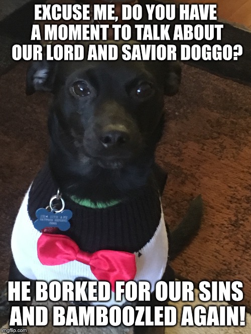 Excuse me... | EXCUSE ME, DO YOU HAVE A MOMENT TO TALK ABOUT OUR LORD AND SAVIOR DOGGO? HE BORKED FOR OUR SINS AND BAMBOOZLED AGAIN! | image tagged in doggo | made w/ Imgflip meme maker