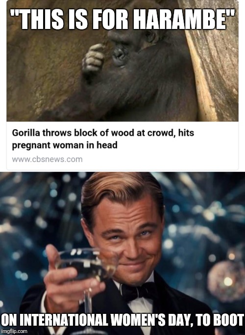 Pregnant woman is okay, btw | "THIS IS FOR HARAMBE"; ON INTERNATIONAL WOMEN'S DAY, TO BOOT | image tagged in memes,harambe,leonardo dicaprio cheers | made w/ Imgflip meme maker