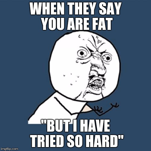 Y U No Meme | WHEN THEY SAY YOU ARE FAT; "BUT I HAVE TRIED SO HARD" | image tagged in memes,y u no | made w/ Imgflip meme maker