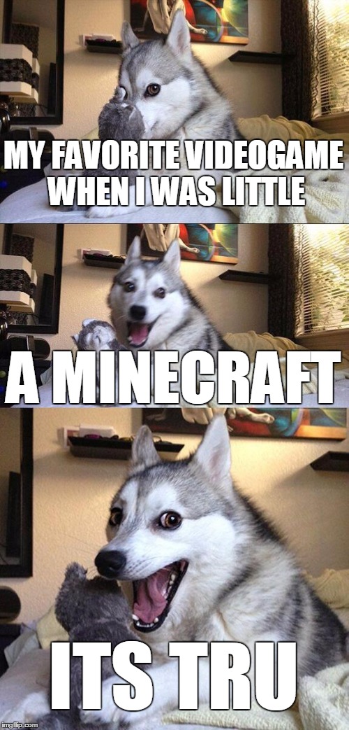 Bad Pun Dog Meme | MY FAVORITE VIDEOGAME WHEN I WAS LITTLE; A MINECRAFT; ITS TRU | image tagged in memes,bad pun dog | made w/ Imgflip meme maker