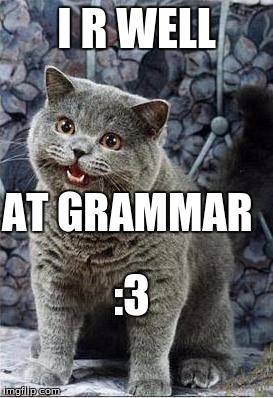 The grammar..... |  I R WELL; AT GRAMMAR; :3 | image tagged in i can has cheezburger cat | made w/ Imgflip meme maker