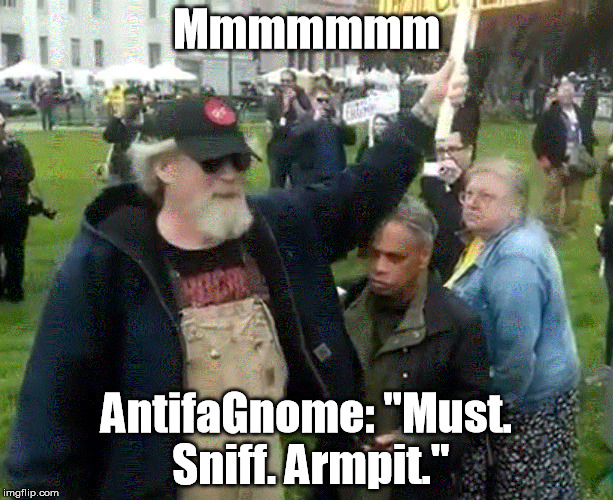 AntifaGnome sniffs armpits | Mmmmmmm; AntifaGnome: "Must. Sniff. Armpit." | image tagged in antifagnome,berkeley facists,march for trump,berklurk | made w/ Imgflip meme maker